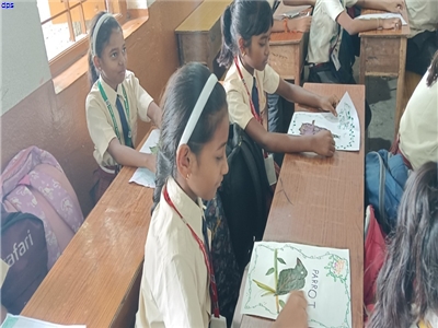 Dry Leaf competition - 30.06.2025